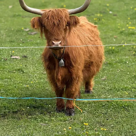 아파트 Highlander - Con Vista E Spazio Esterno - Horizon Vacanze