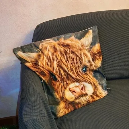 Highlander - Con Vista E Spazio Esterno - Horizon Vacanze